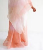 Ombre Organza saree